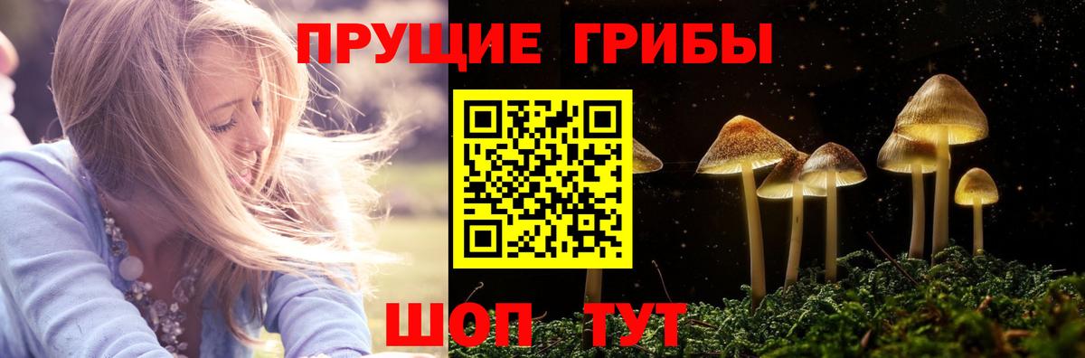Галлюциногенные грибы мицелий  Вход с VPN  Среднеуральск 